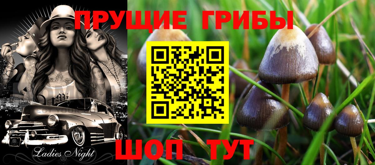 Галлюциногенные грибы Psilocybe Кирово-Чепецк
