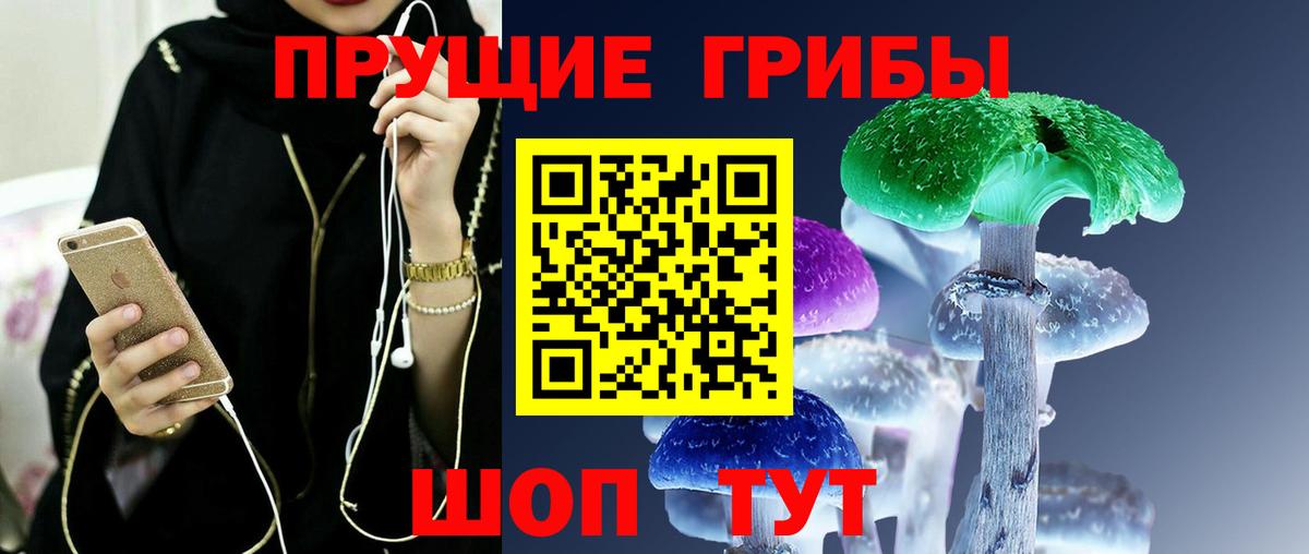 Галлюциногенные грибы Cubensis  где купить   Кирово-Чепецк  Вход с VPN 